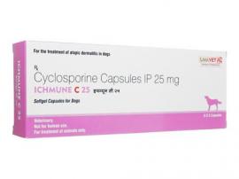 アイチュミューンC 25mg 30錠 |アトピカ同成分| アトピー |ネオーラル | ジェネリック