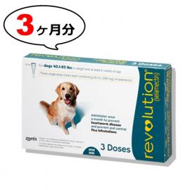 【ノミダニ駆除・フィラリア予防】レボリューション大型犬用(体重18.2〜38.6kg)　1箱