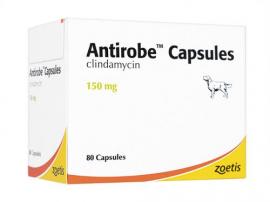 アンチローブ | 150mg | 犬用 | 80錠