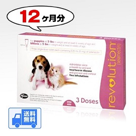 【ノミダニ駆除・フィラリア予防】レボリューション子犬子猫用(体重2.3kg以下)　4箱