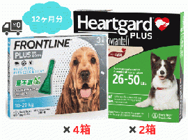 ハートガードプラスとフロントラインセット | M | 中型犬 | 12ヶ月分 | お得セット