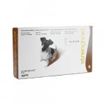 ストロングホールド | 60mg | 犬用 | 5.1-10kg | 0.5ml | 6本 | 1箱