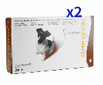 ストロングホールド | 60mg | 犬用 | 5.1-10kg | 0.5ml | 6本 | 2箱