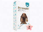プリノケート・中型犬用(>4-10kg)1ml3本 2箱