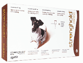 ストロングホールド | 60mg | 犬用 | 5.1-10kg | 0.5ml | 6本 | 1箱