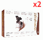 ストロングホールド | 60mg | 犬用 | 5.1-10kg | 0.5ml | 6本 | 2箱