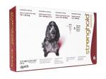 ストロングホールド | 120mg | 犬用 | 5.1-10.1-20kg | 1ml | 6本