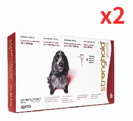 ストロングホールド | 120mg | 犬用 | 10.1-20kg | 1ml | 6本x2箱