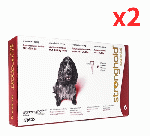 ストロングホールド | 120mg | 犬用 | 10.1-20kg | 1ml | 6本x2箱