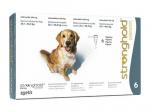 ストロングホールド | 240mg | 犬用 | 20.1-40kg | 2ml | 6本 | 1箱