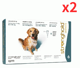 ストロングホールド | 240mg | 犬用 | 20.1-40kg | 2ml | 6本 | 2箱