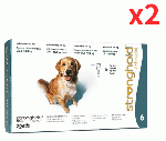 ストロングホールド | 240mg | 犬用 | 20.1-40kg | 2ml | 6本 | 2箱