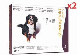 ストロングホールド | 360mg | 超大型犬用 | 40.1-60kg | 3ml | 6本