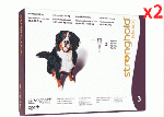 ストロングホールド | 360mg | 超大型犬用 | 40.1-60kg | 3ml | 6本