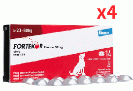 フォルテコール 20mg |14錠 | 犬 | 20-80kg | 4箱