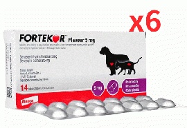 フォルテコール 5mg | 14錠 | 犬 | 猫 | 6箱