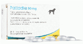パラディア50mg | 犬用 | 20錠 | 1箱 | 肥満細胞腫