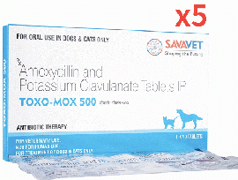 トキソモックス500 | 400mg+100mg | 10錠x5| ペニシリン | 抗生物質 | 犬