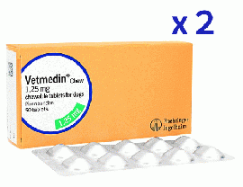 ベトメディン フレーバー錠 | 1.25mg | 50錠 | 2箱