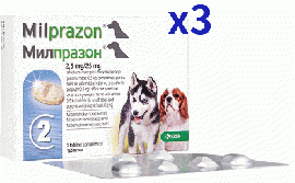 ミルプラゾン 2.5mg/25mg 小型犬 子犬用 6錠