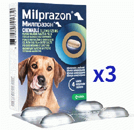 ミルプラゾンチュワブル| 12.5mg/125mg|犬用|5kg以上|4錠x3