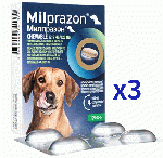 ミルプラゾンチュワブル| 12.5mg/125mg|犬用|5kg以上|4錠x3