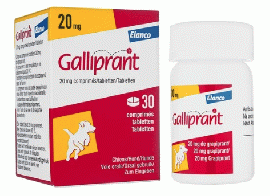 ガリプラント 20mg 30錠 | 骨関節炎治療 | EP4 | 選択的拮抗薬 | 消炎鎮痛剤